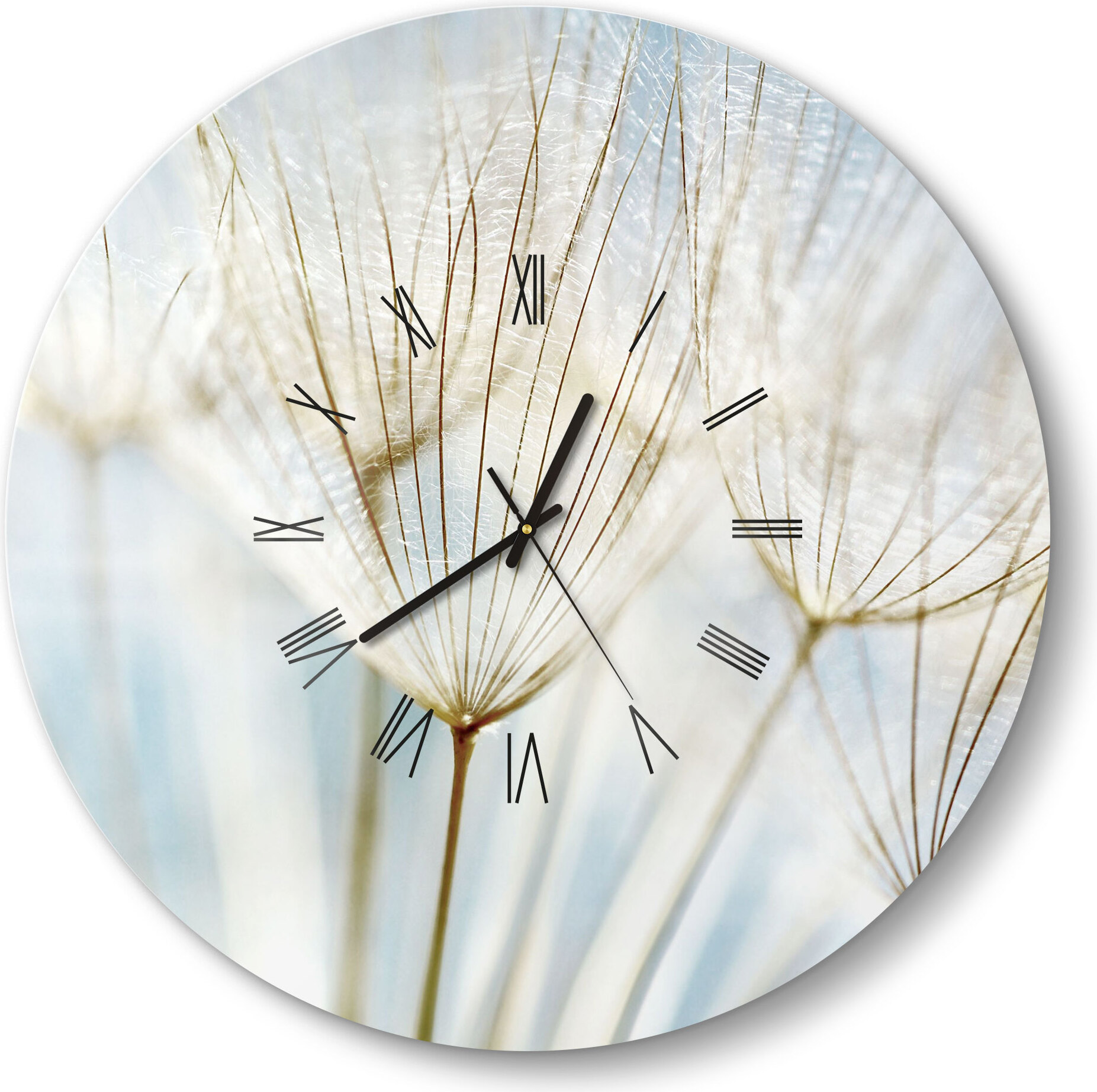 DEQORI Glasuhr Ø50 cm Römisch 'Löwenzahnsamen nah' Wanduhr Glas Uhr Design leise WC-D50-R-2447