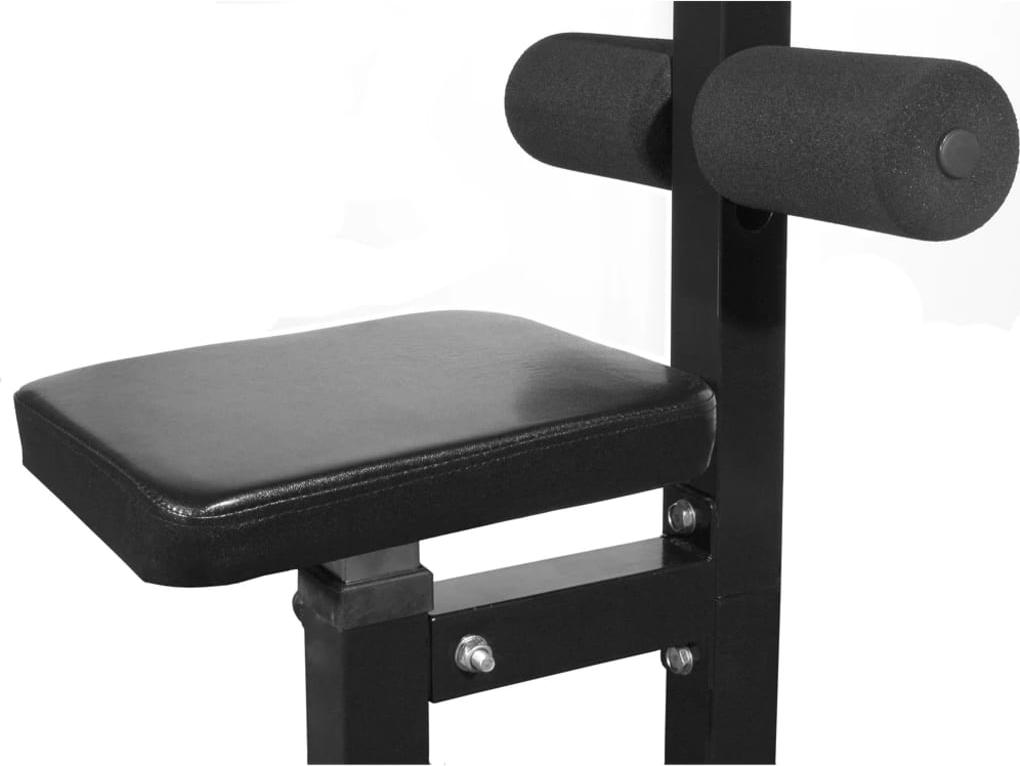 vidaXL Kraftstation ohne Gewichtsplatten