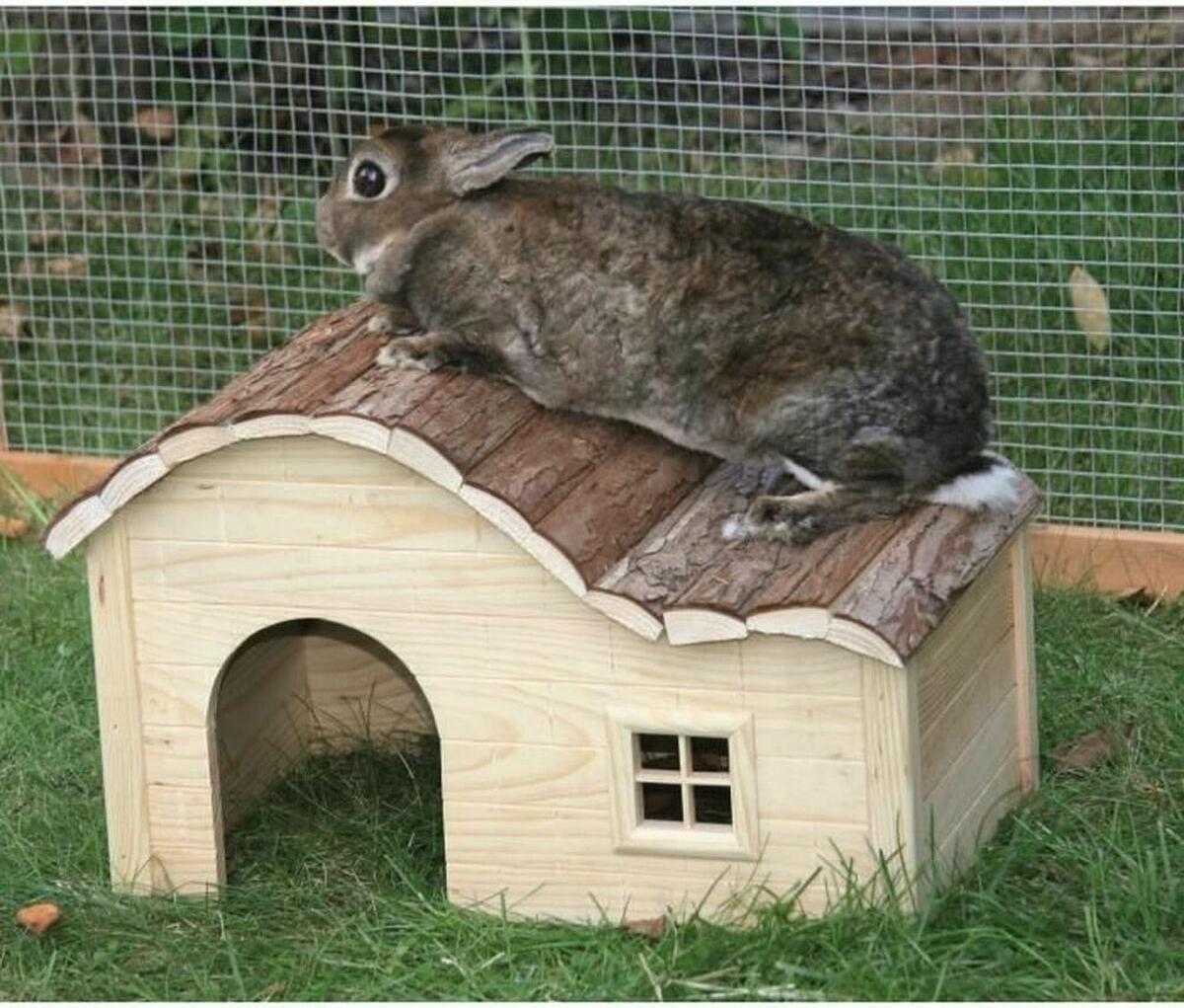 Haus für Nagetiere Kerbl Beige 30 x 20 x 19 cm S7139196