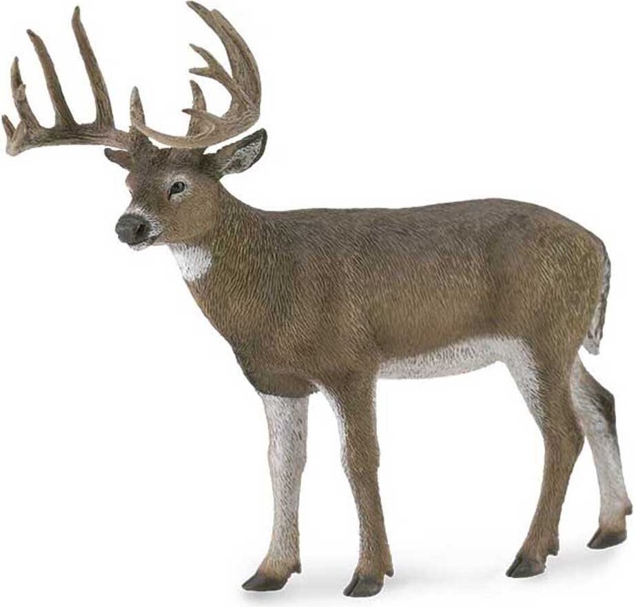 Collecta Weißwedelhirsch Figur Hirsch Wildtiere Spielfiguren White Tailed Deer 90188832
