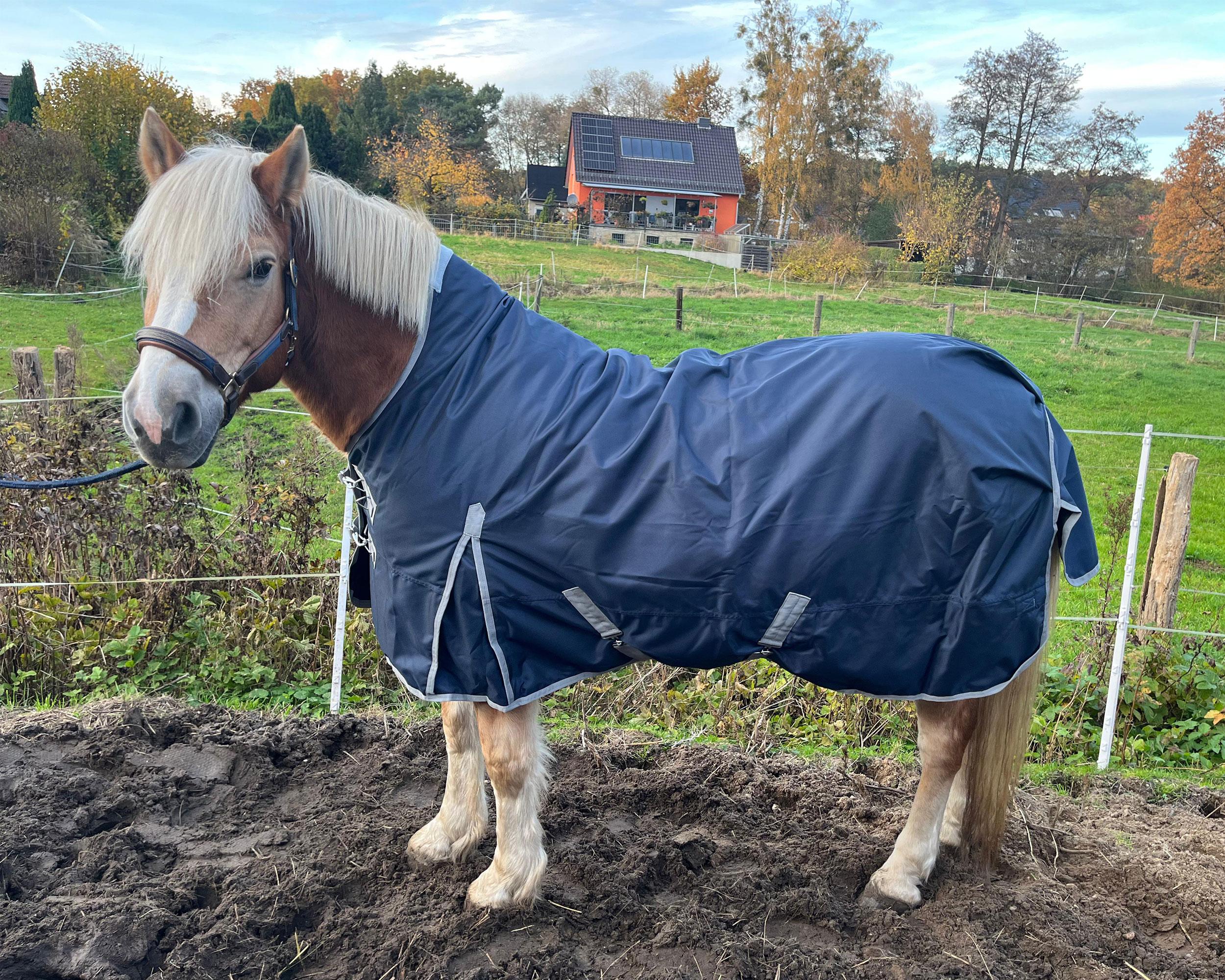 BRAMA WEST Winterdecke Nell - 1680D - 50g Größe (Pferdedecke) - 165 cm