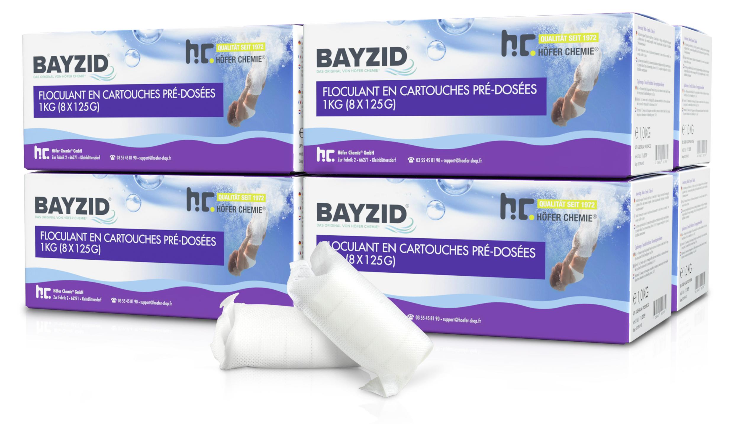 Höfer Chemie 8x1 kg BAYZID® Flockkartusche für Pools filtert Verunreinigungen raus