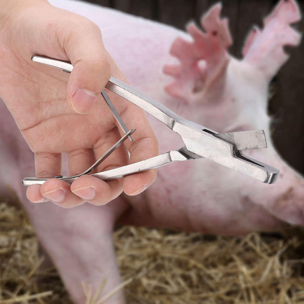 Cocosity Ohrenzange, Schweine-Ohrenzange, Schweine-Ohrmarkenzange, Bauernhof-Ohrenzange, Edelstahl-Ohrenzange