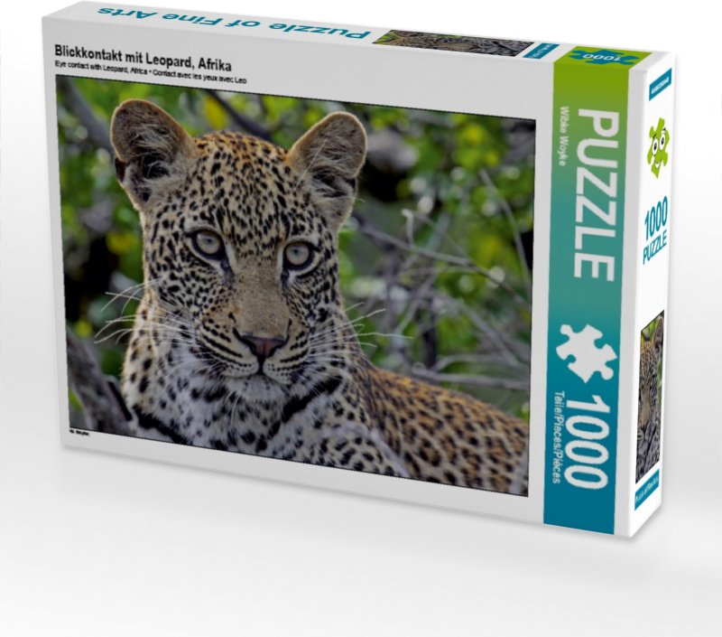 Calvendo Blickkontakt mit Leopard, Afrika 1000 Teile Puzzle quer 640x480mm, Woyke Wibke; 7376878