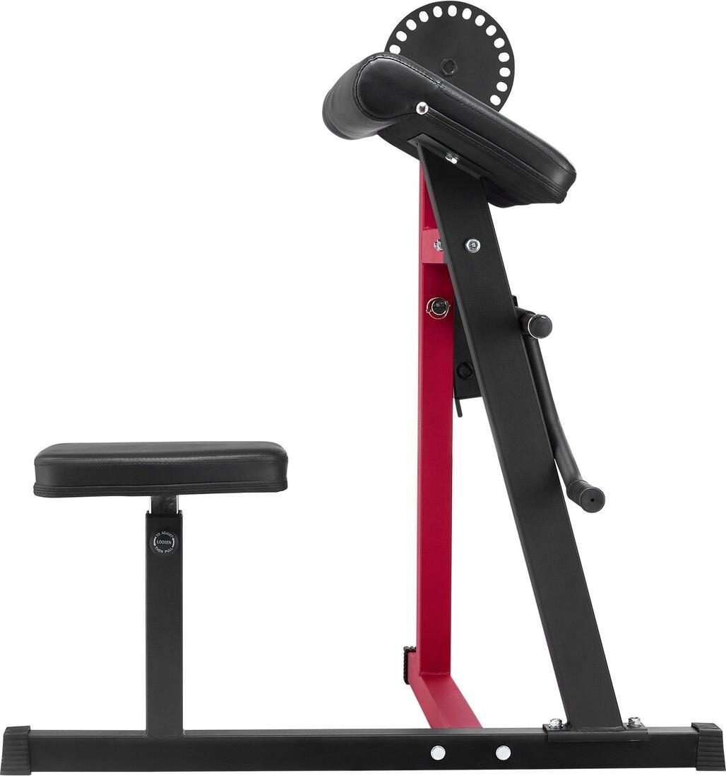 2 in 1 Preacher Curl Bench Bicep Curls and Triceps Extension Machine