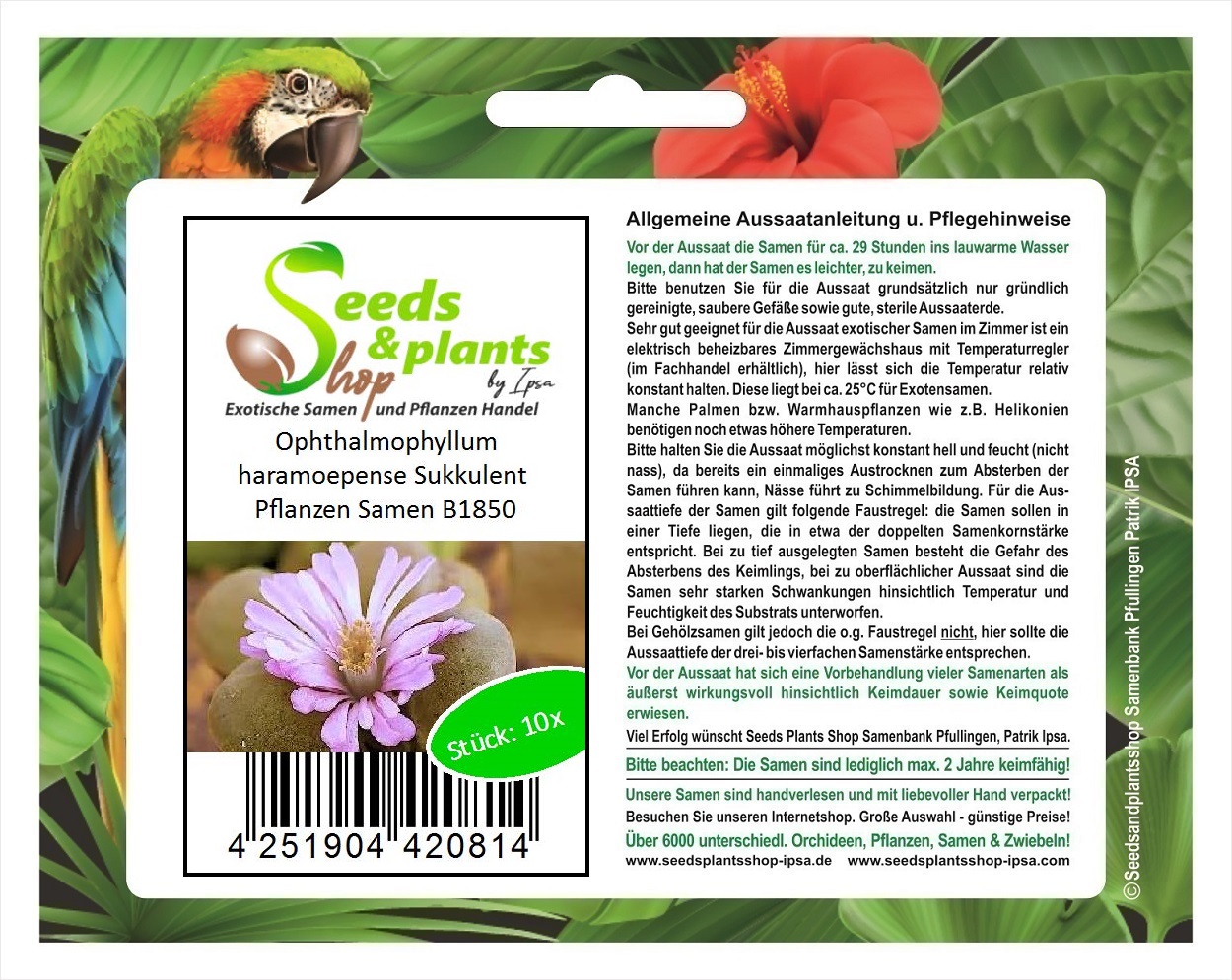 Seeds & Plants Shop by Ipsa 10x Ophthalmophyllum haramoepense Sukkulent Pflanzen Samen B1850