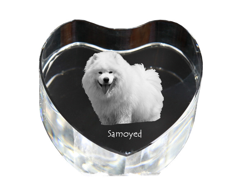 Samojede, Samoyed, Samojedenhund, Samojedenspitz - Hundebild im Kristall, Kristallherz, einzigartiger Bilderrahmen der Marke Art-Dog
