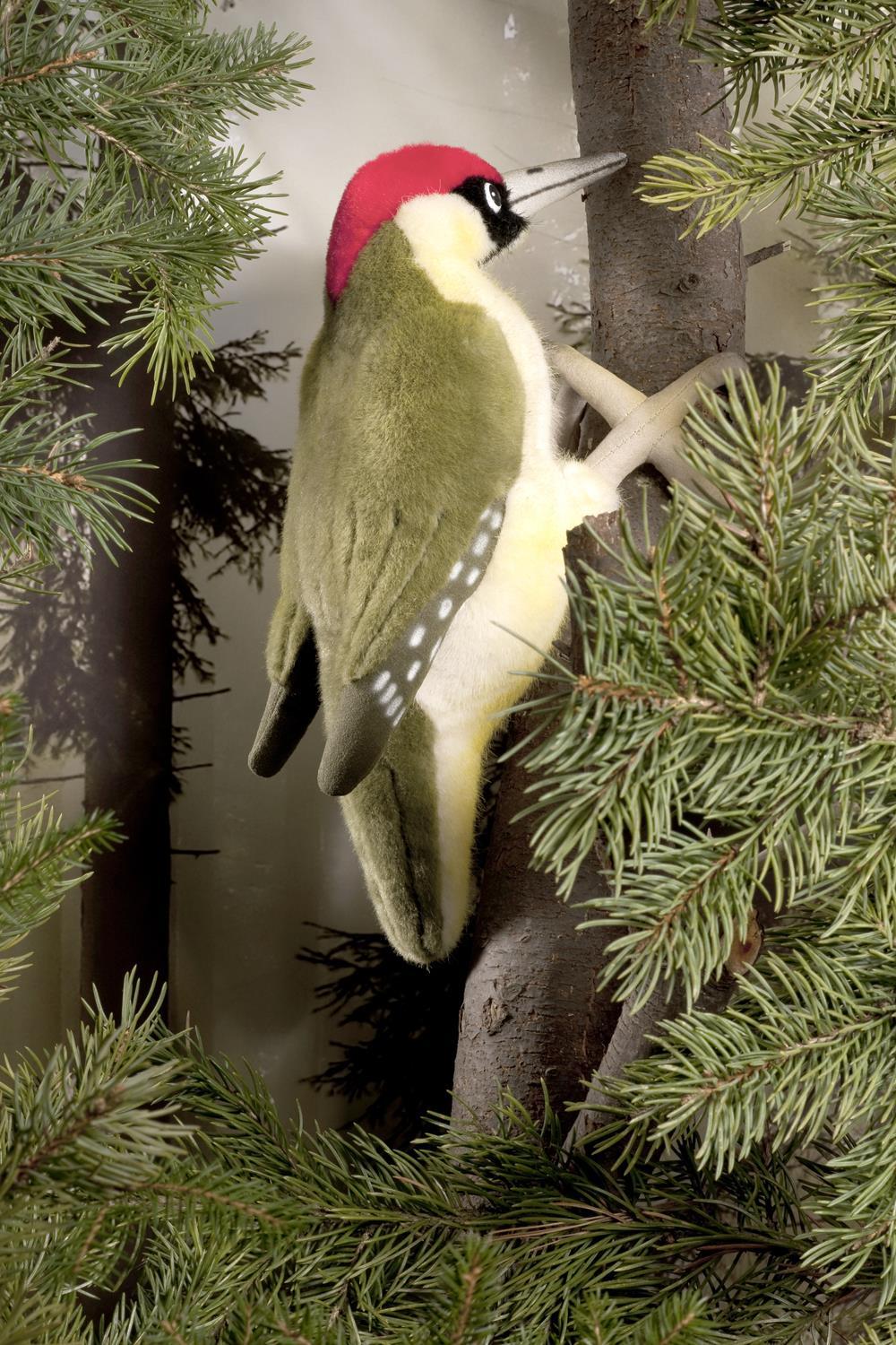 Kösen Grünspecht 27 cm Plüschgrünspecht 6250