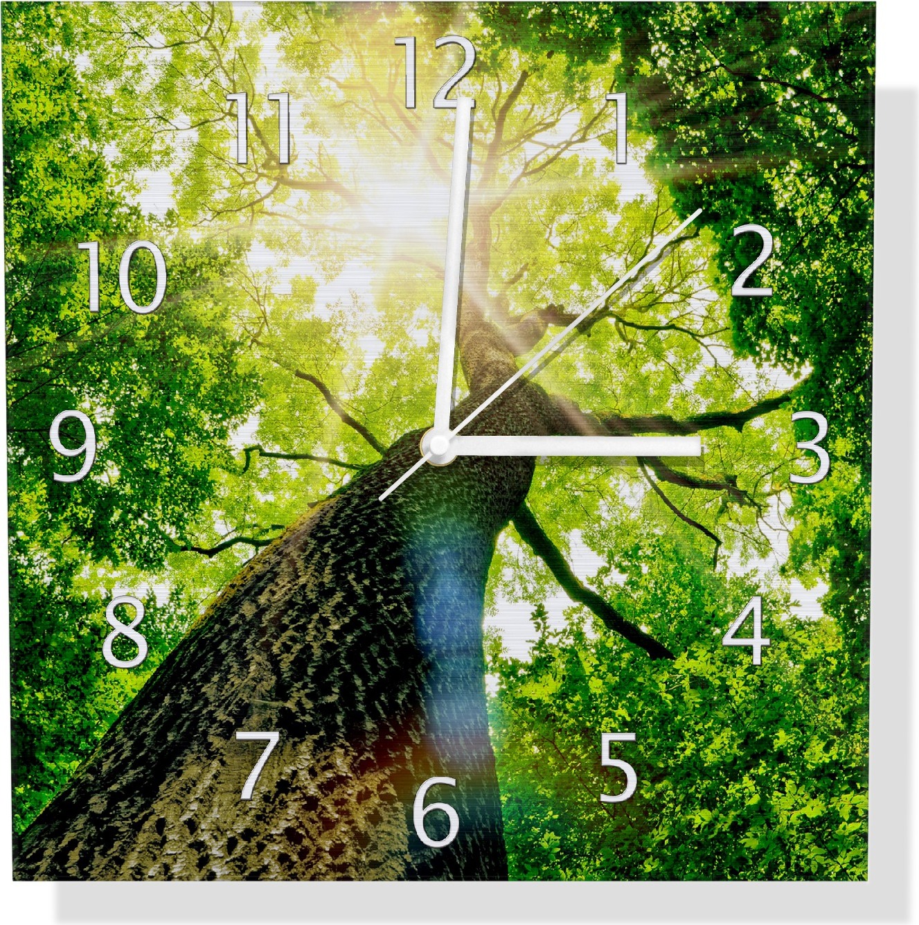 Wallario Design Wanduhr Laubbaum aus der Froschperspektive aus Aluverbund, Größe 30 x 30 cm udi0259-3030