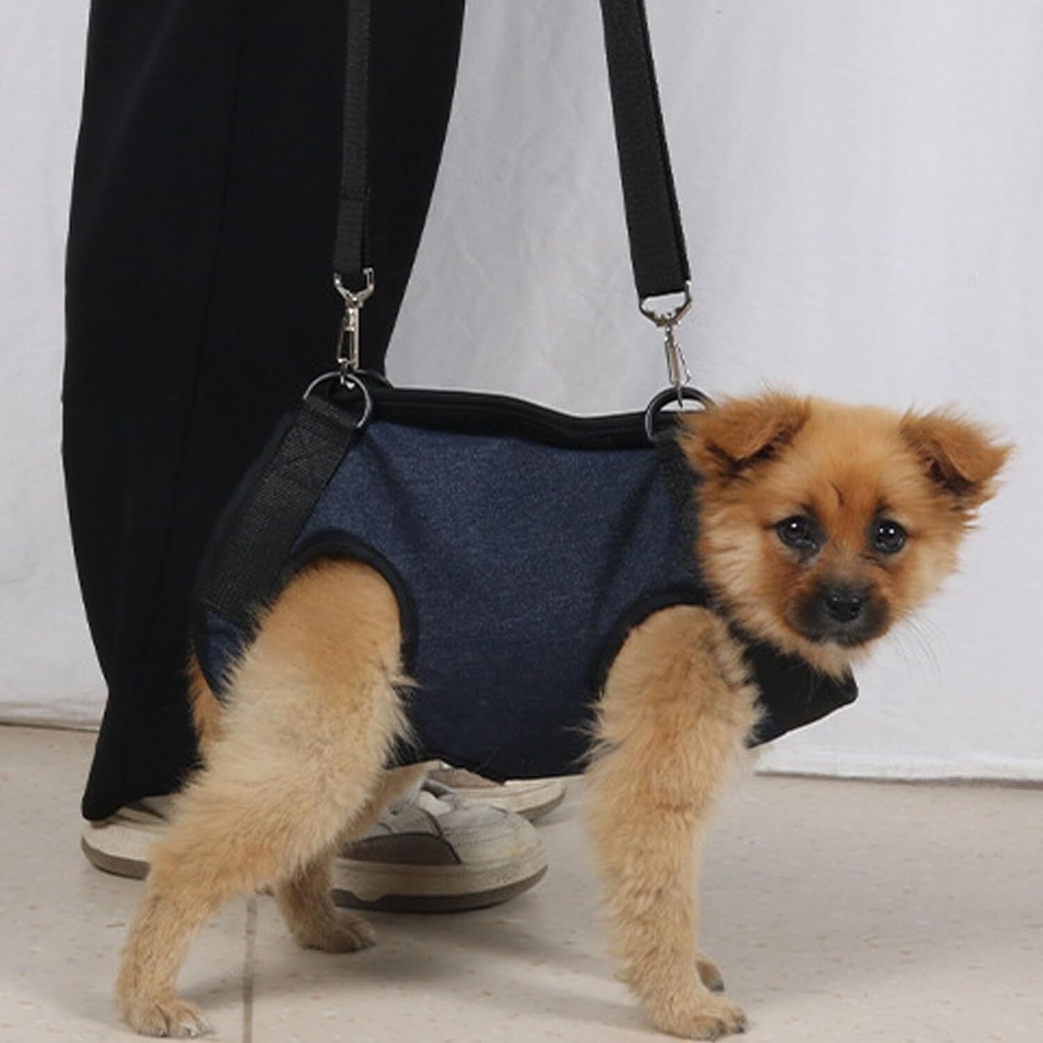 Zimtky Hunde-Hebegeschirr, Hunde-Tragegurt für Vorder, Haustier-Beine Zur Unterstützung und Rehabilitation, Hunde-Hebegeschirr, Hilft älteren Hunden mit Eingeschränkter Mobilität (M) Z240920CJLJ181