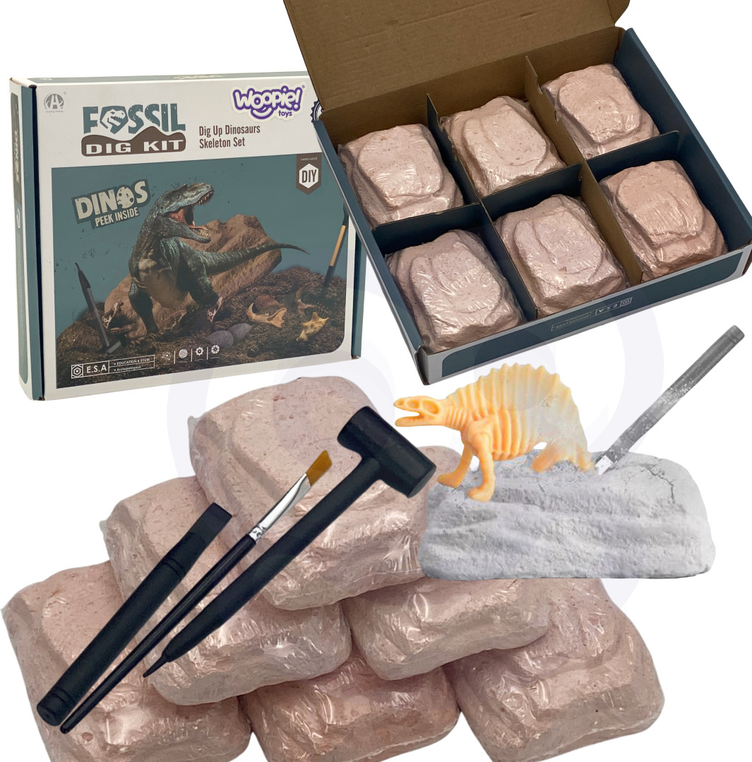 WOOPIE Ausgrabung 6in1 Dinosaurierskelett Kleiner Archäologe 6tlg.