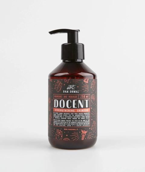 Pan Drwal Herr Holzfäller – Dozent – Haarpflegeshampoo 250 ml PAN-SZA-WLO-DOCE-250
