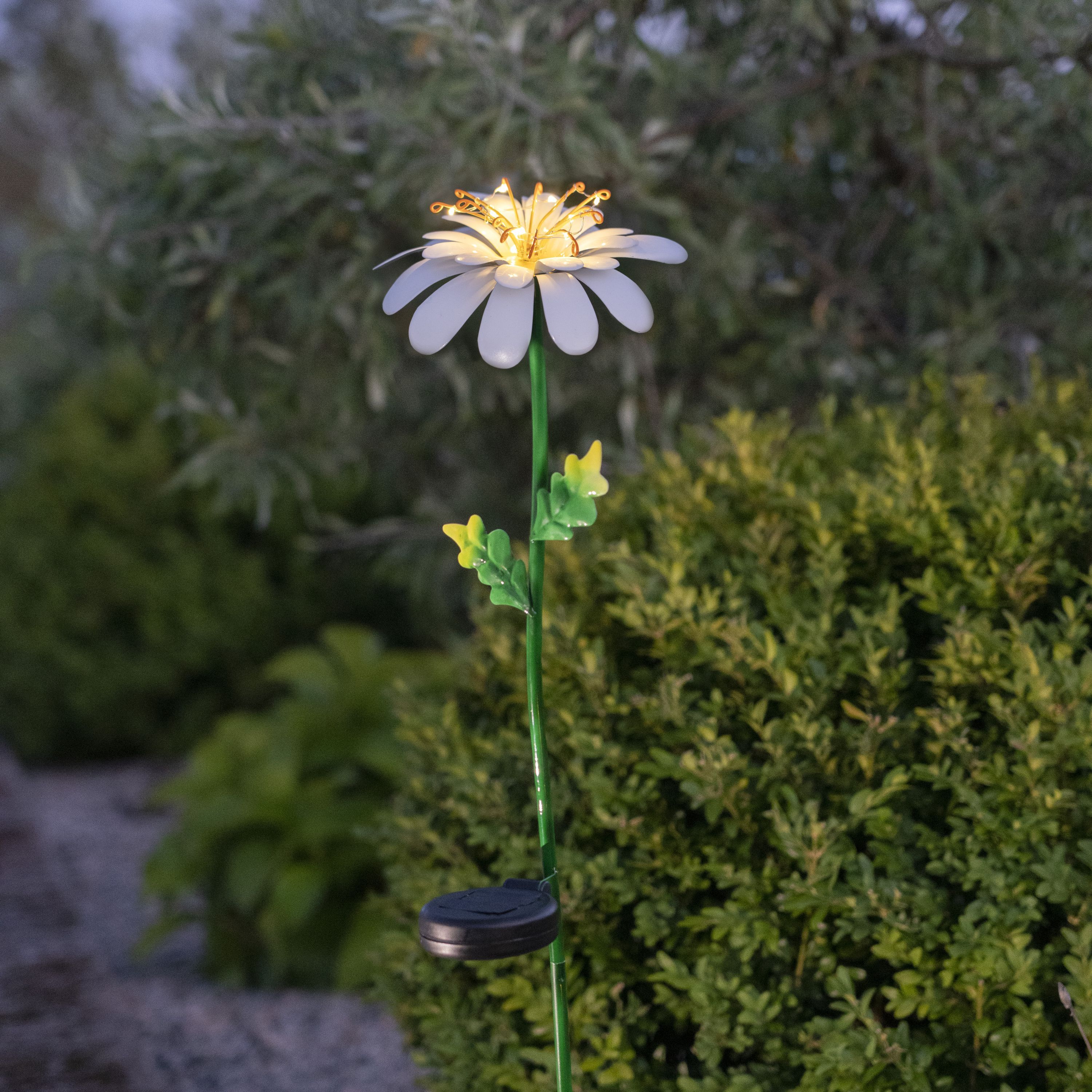 Star Trading Star-Trading Daisy LED Solar-Leuchtblume 77 cm Weiss 482-23