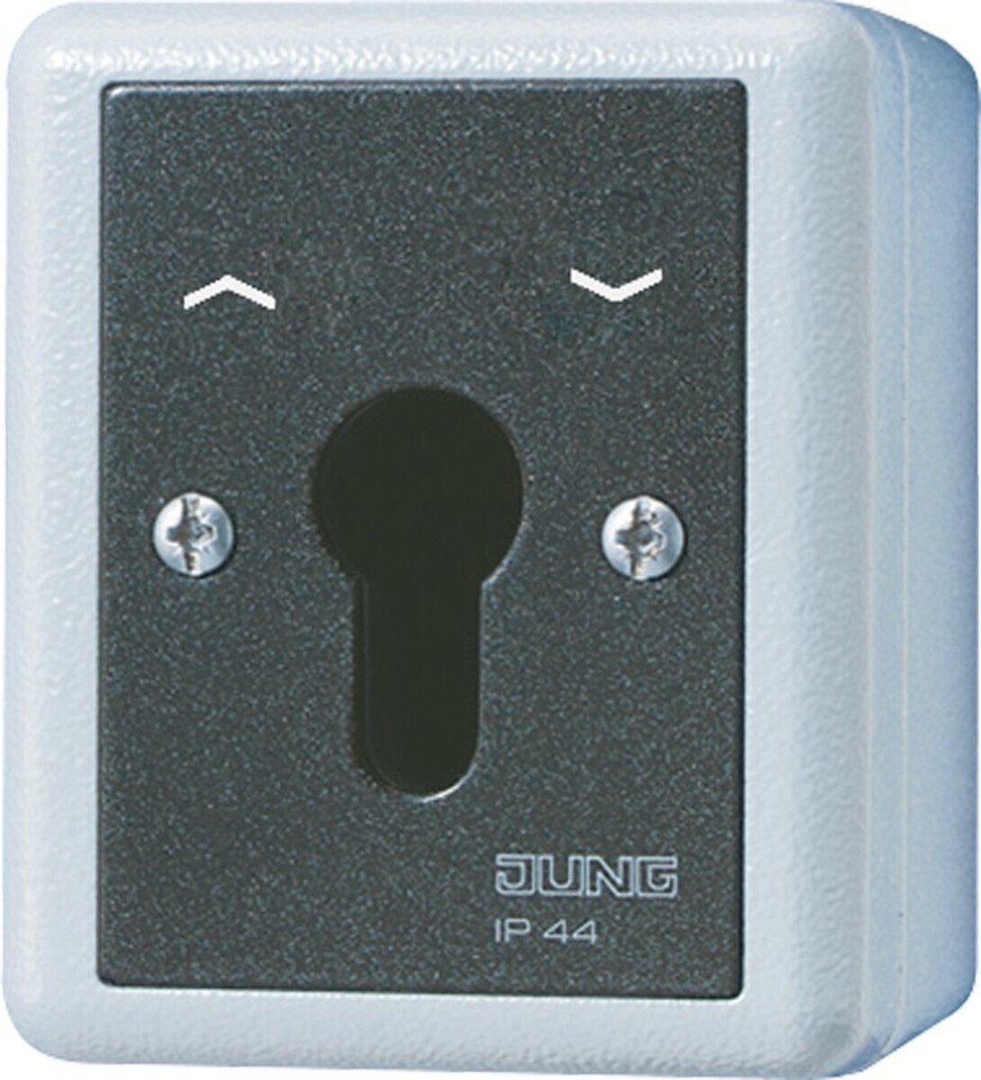 Jung 834.28G Schlüsselschalter