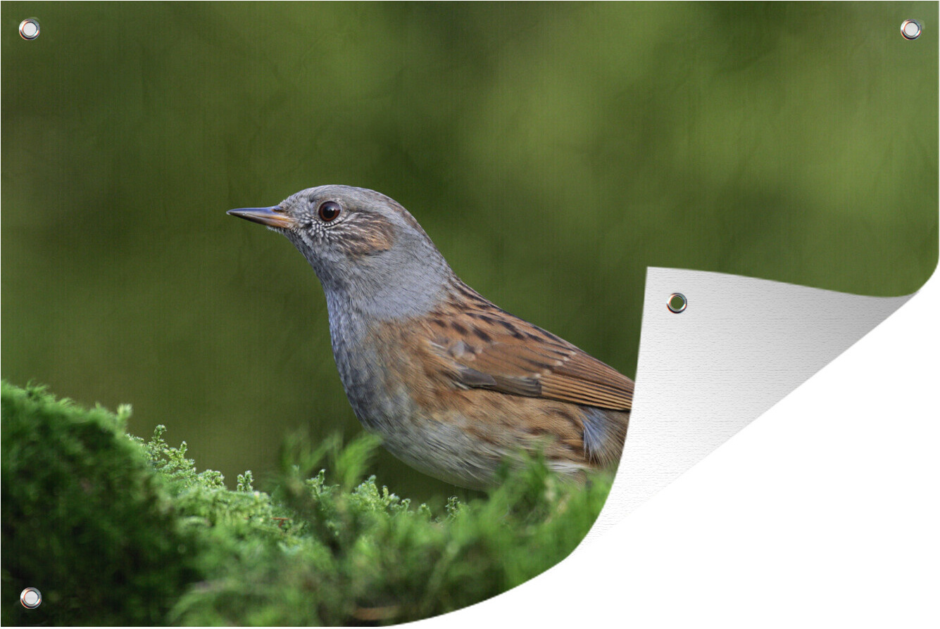 MuchoWow® 60x40 cm Outdoor-Poster Gartendeko Sichtschutz Garten Poster für den Garten Ein Mahnmal in einer grünen Umgebung 133|3724289