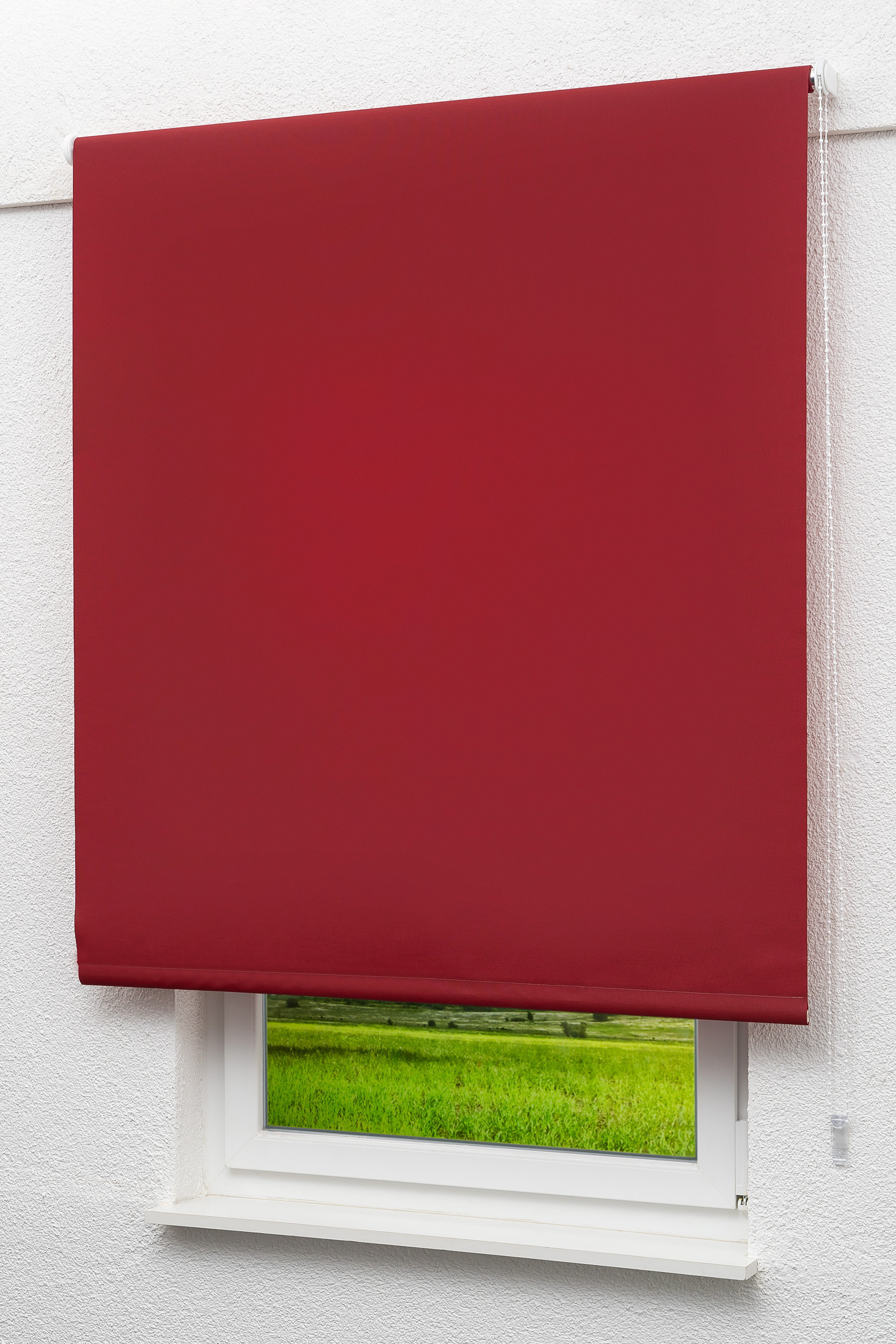 Lysel Outlet - Basisrollo Tageslicht Bordeauxrot, (B x H) 102.50cm x 190cm in rot/bordeauxrot 19102_55486