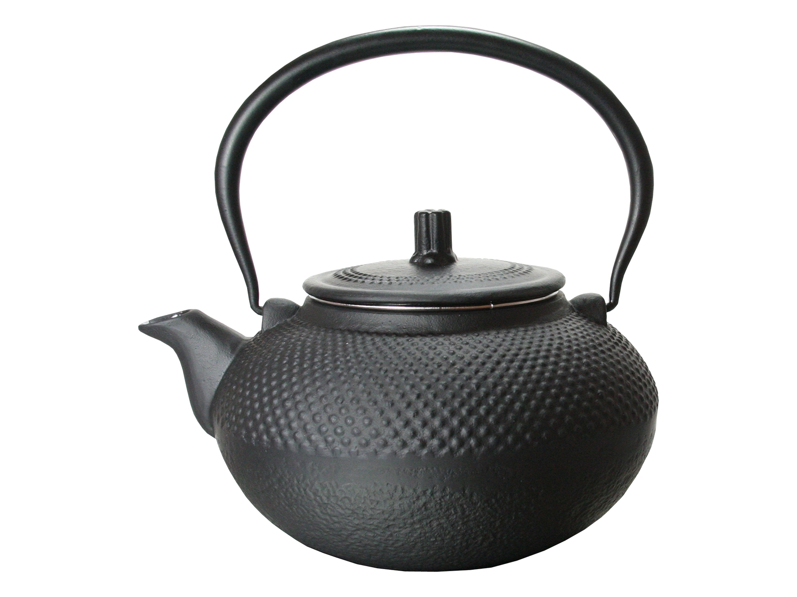 Asiatische Gusseisen TeekanneEdelstahl Teesieb 1,2 LiterJapan Style Kanne 