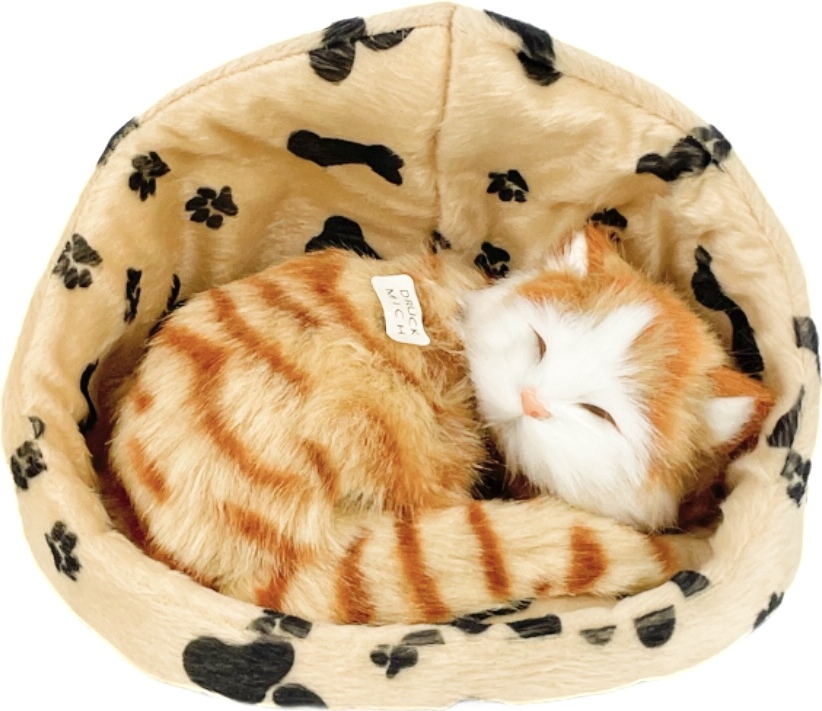 Teddys Rothenburg Katze im Korb rot 16 cm Plüschkatze 36783 ROT