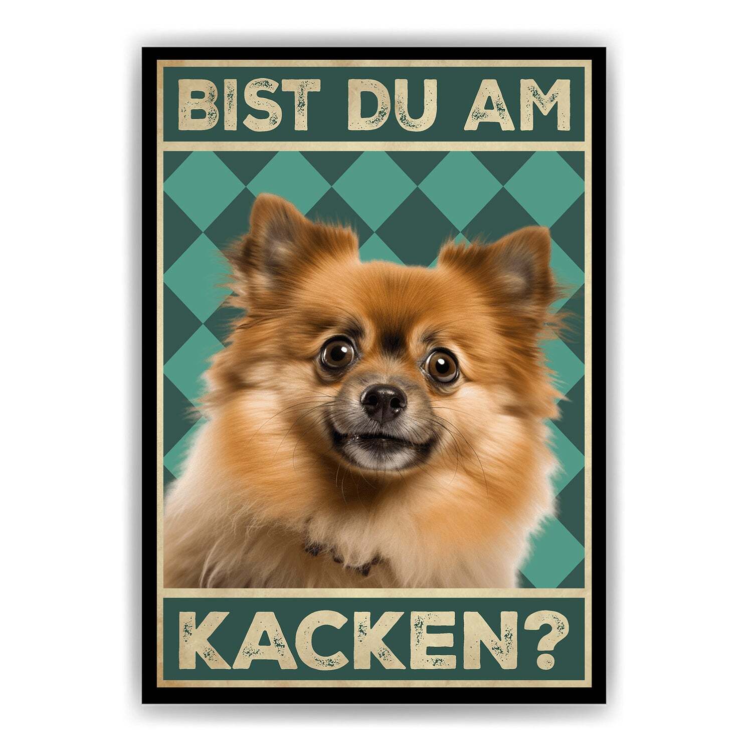 Tigerlino® Zwergspitz - Bist du am Kacken? Hunde Poster Badezimmer Gästebad Wandbild Klo Toilette Dekoration Lustiges Gäste-WC Bild DIN A4 – DIN A4 (21x29.7cm)