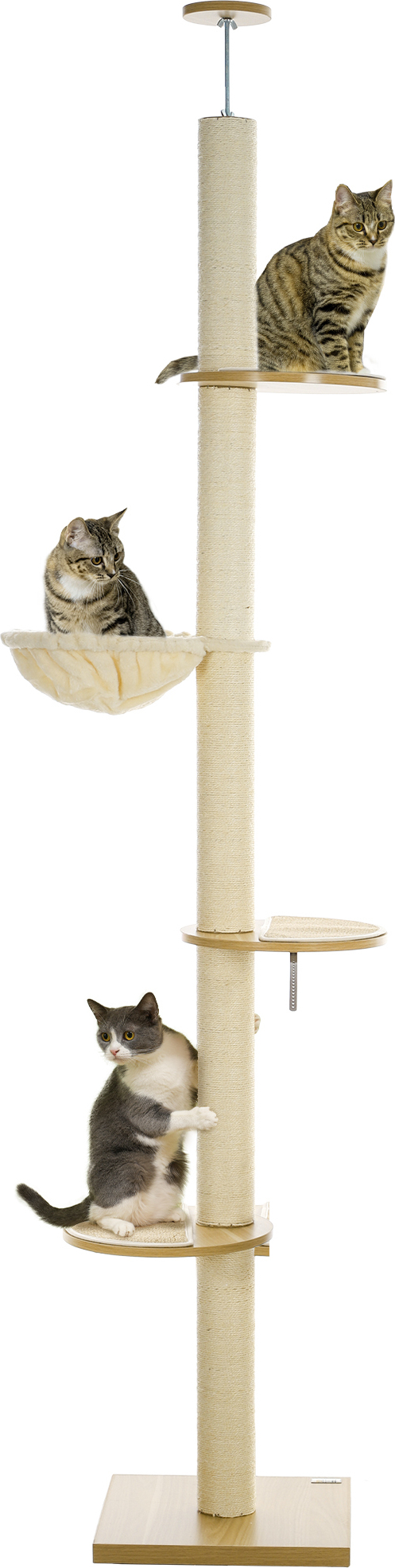 HUSPET Kratzbaum Für Katzen – 61 Cm Hoch Mit Hängematte & Spielzeug | Mehrstufiger Katzenturm Aus Sisal & Plüsch | Hellgrau, Für Kleine Räume