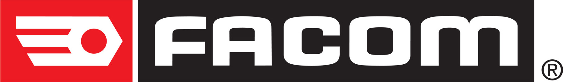 Facom Prismenpaar aus Stahl - 20 Mikron 1202