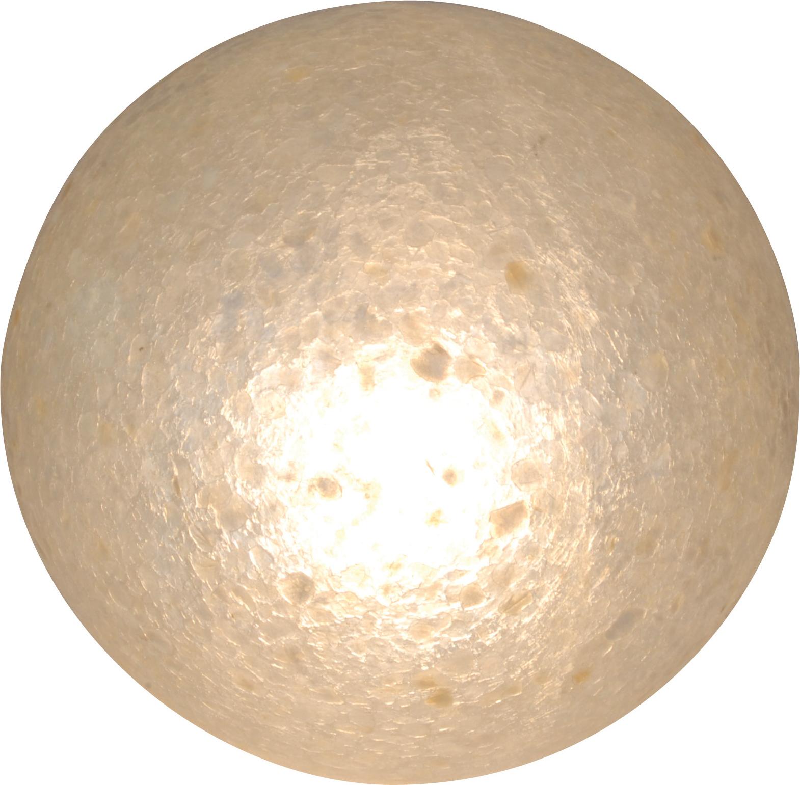 Näve Leuchten Dekokugel Dekokugel Dekokugel, Deko aus Muschel, beige, 10 cm hoch, Ø 50 cm, E14 – Netzbetrieb – Schnurschalter