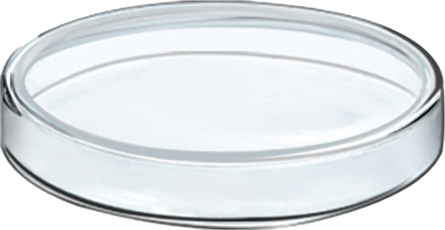 Bmen 60-100 ml Kulturschale transparent hitzebeständige umweltfreundliche professionelle Glaskulturschüssel für Labor-100 mm 2603969@brem