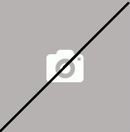 DE DIETRICH Ersatzset für die Wartung und Reparatur von Elm Msn Nf Geräten