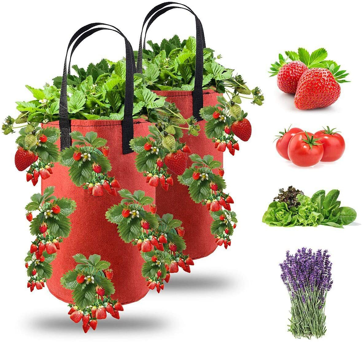Erdbeer Pflanzbeutel Kartoffel Pflanzsack Gartenpflanzung Gemüse Pflanzer Tasche 