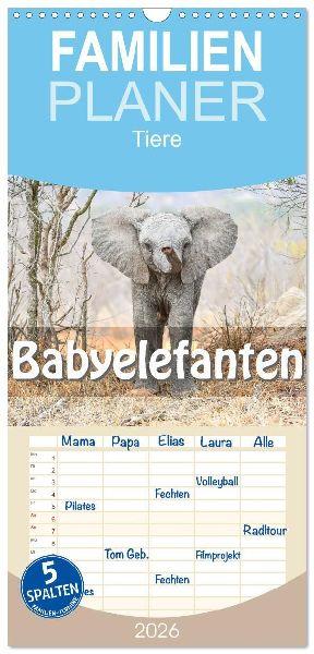 Familienplaner 2026 - Babyelefanten mit 5 Spalten (Wandkalender, 21 x 45 cm) CALVENDO