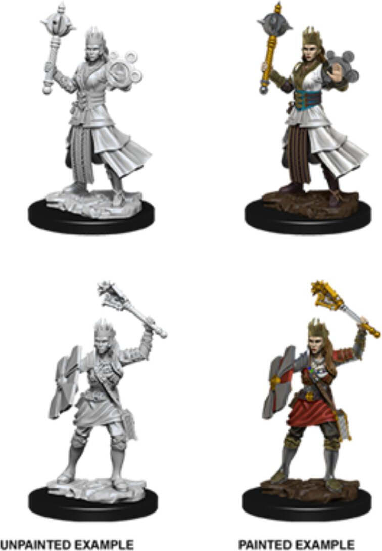 WizK!ds D&D Nolzur's Marvelous Miniatures Female Human Cleric WZK73671