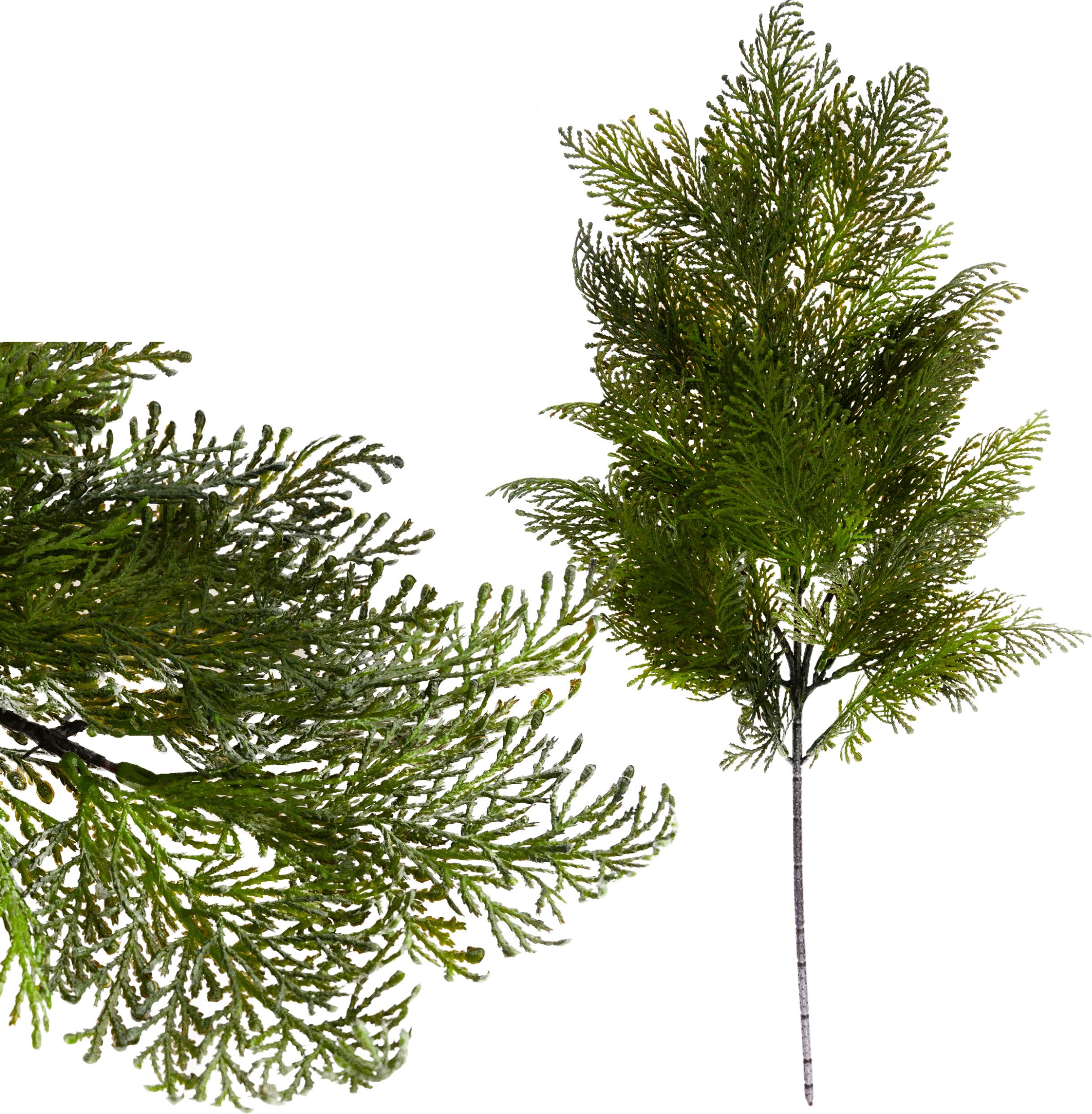 MARTOM Zierwacholderzweig Für Die Gestaltung Von Friedhofskränzen