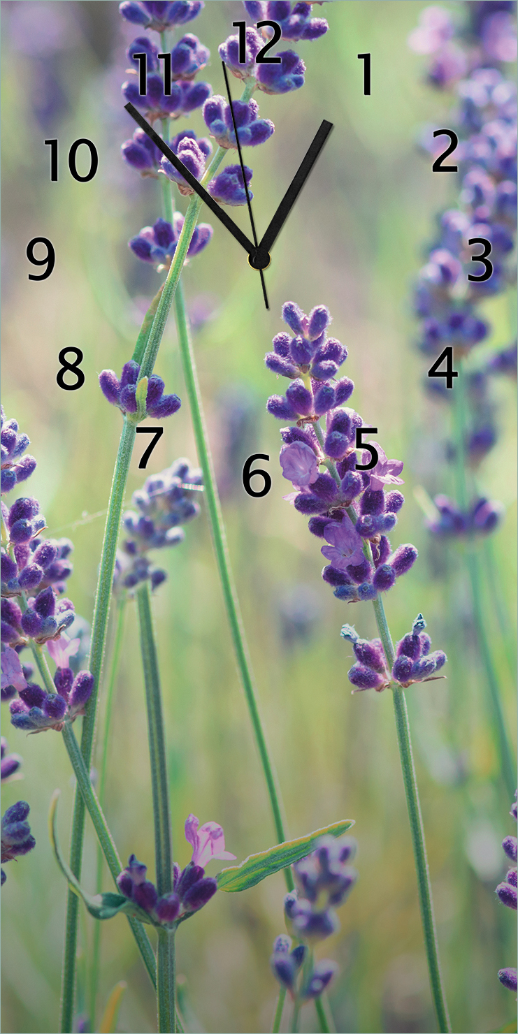 Wallario Design Wanduhr Lila Blumenfreude - Violette Pflanzen auf der Wiese aus Echtglas, Größe 30 x 60 cm gugs0032-3060