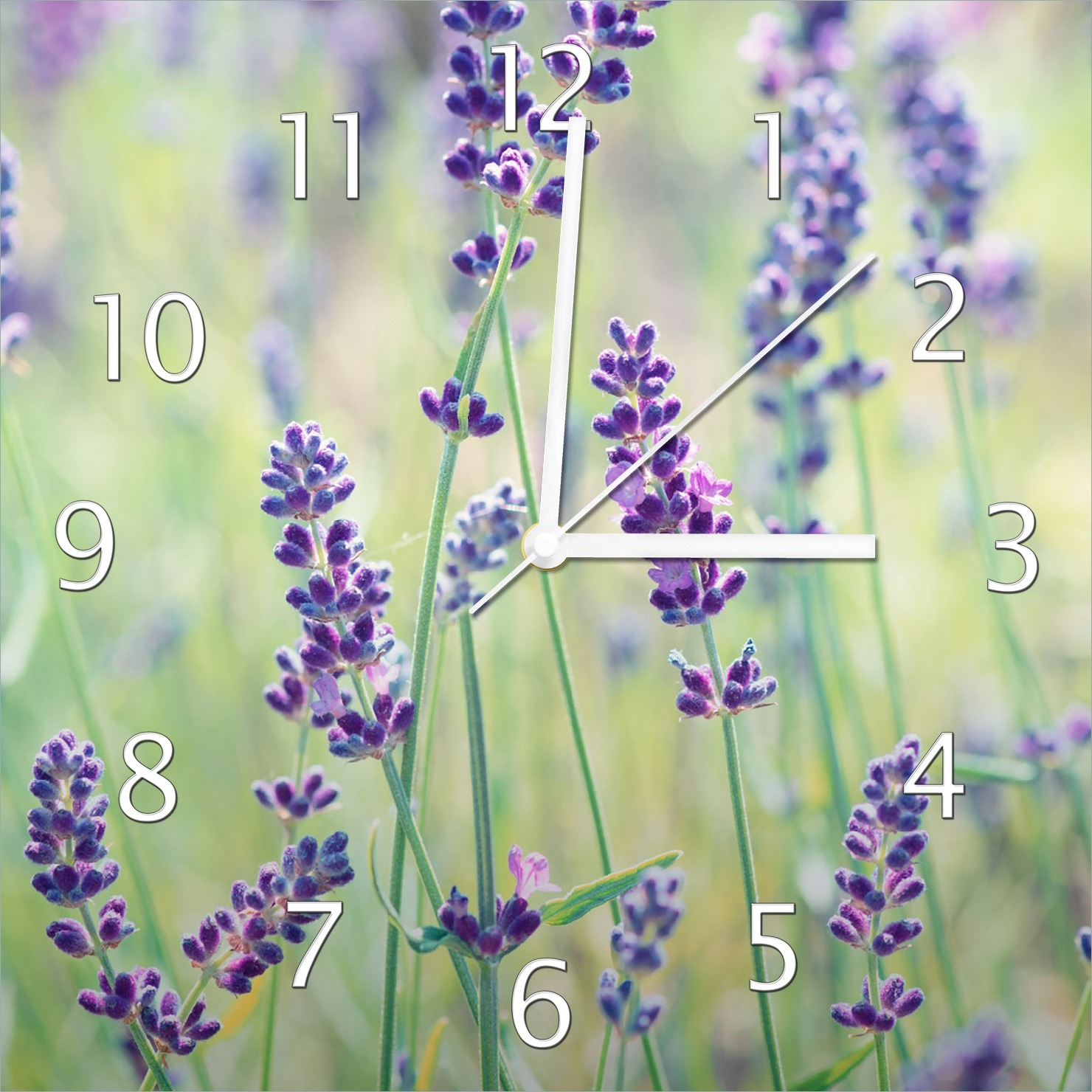 Wallario Design Wanduhr Lila Blumenfreude - Violette Pflanzen auf der Wiese aus Echtglas, Größe 30 x 30 cm guk0032-3030