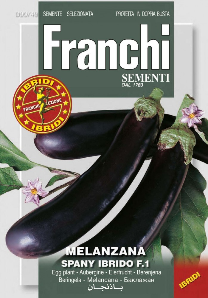 Koopmann International b.v. Aubergine Spany Hybrid F1-Hybride | Auberginensamen von Franchi Sementi DBOS90/49