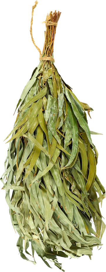 Rento - getrockneter Sauna Besen Quast Reisig Eukalyptus 643511