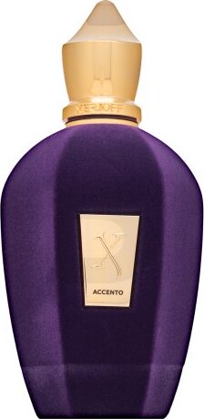 Xerjoff Accento parfémovaná voda unisex 100 ml