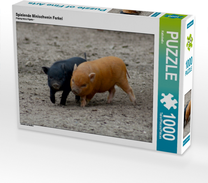 Calvendo Spielende Minischwein Ferkel 1000 Teile Puzzle quer 640x480mm, CALVENDO; 7311980