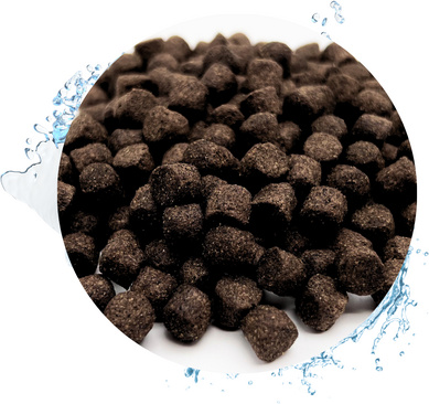 Warnicks Tierfutterservice WTS Koifutter sinkend Herbst & Winterfutter - 5 mm 2 x 15 kg ( 30 kg ) 2006