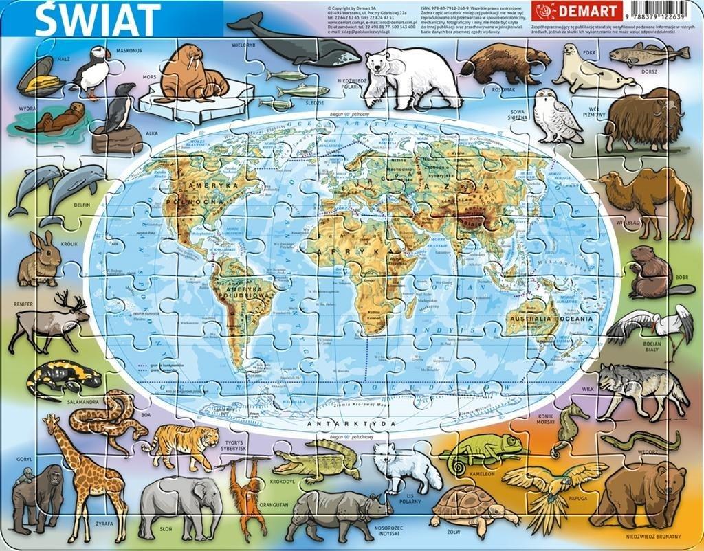 Demart Puzzle ramkowe 72 elementy. Mapa fizyczna świata