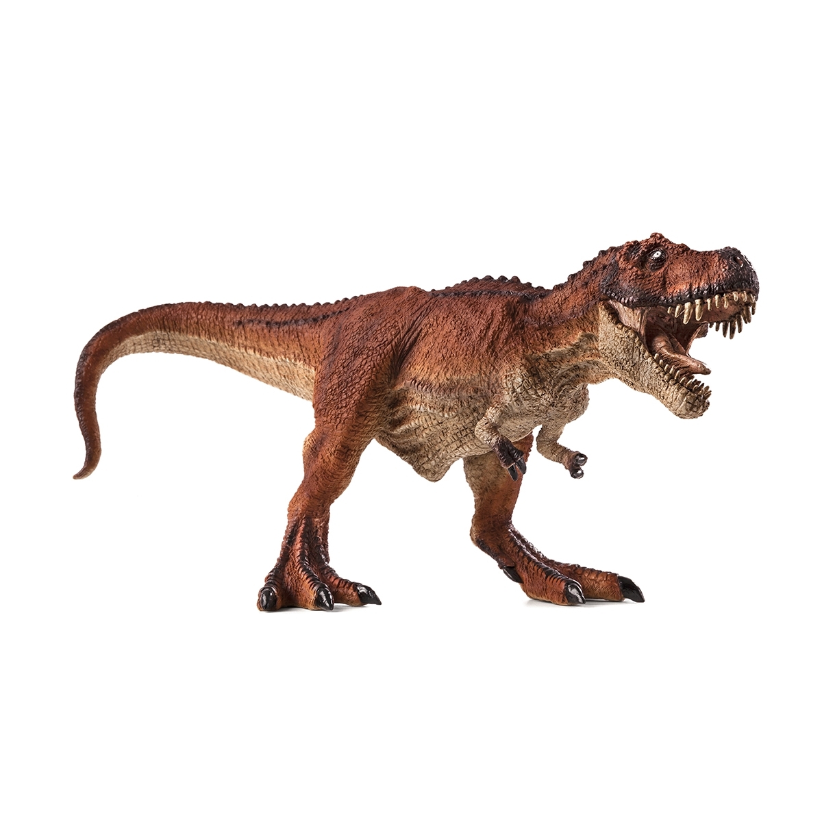 Figurina T-Rex MOJO Animal Planet – Mandibola Articolata, Marrone, Dettagli Realistici, Collezionabile - 2