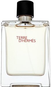 Hermès Terre D'Hermès toaletná voda pánska 100 ml