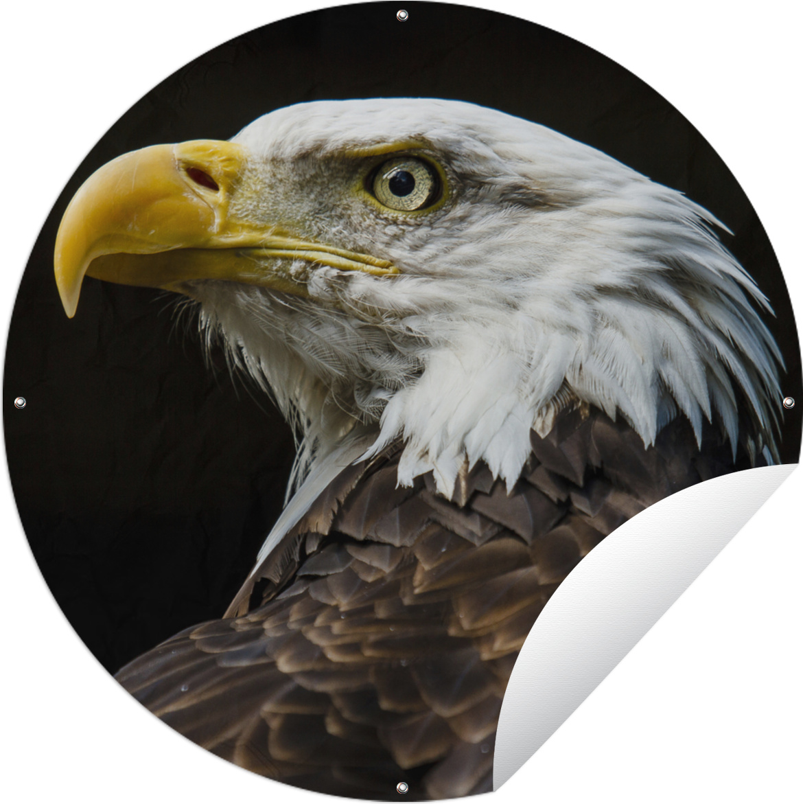 Produktbild MuchoWow® 144|45888896