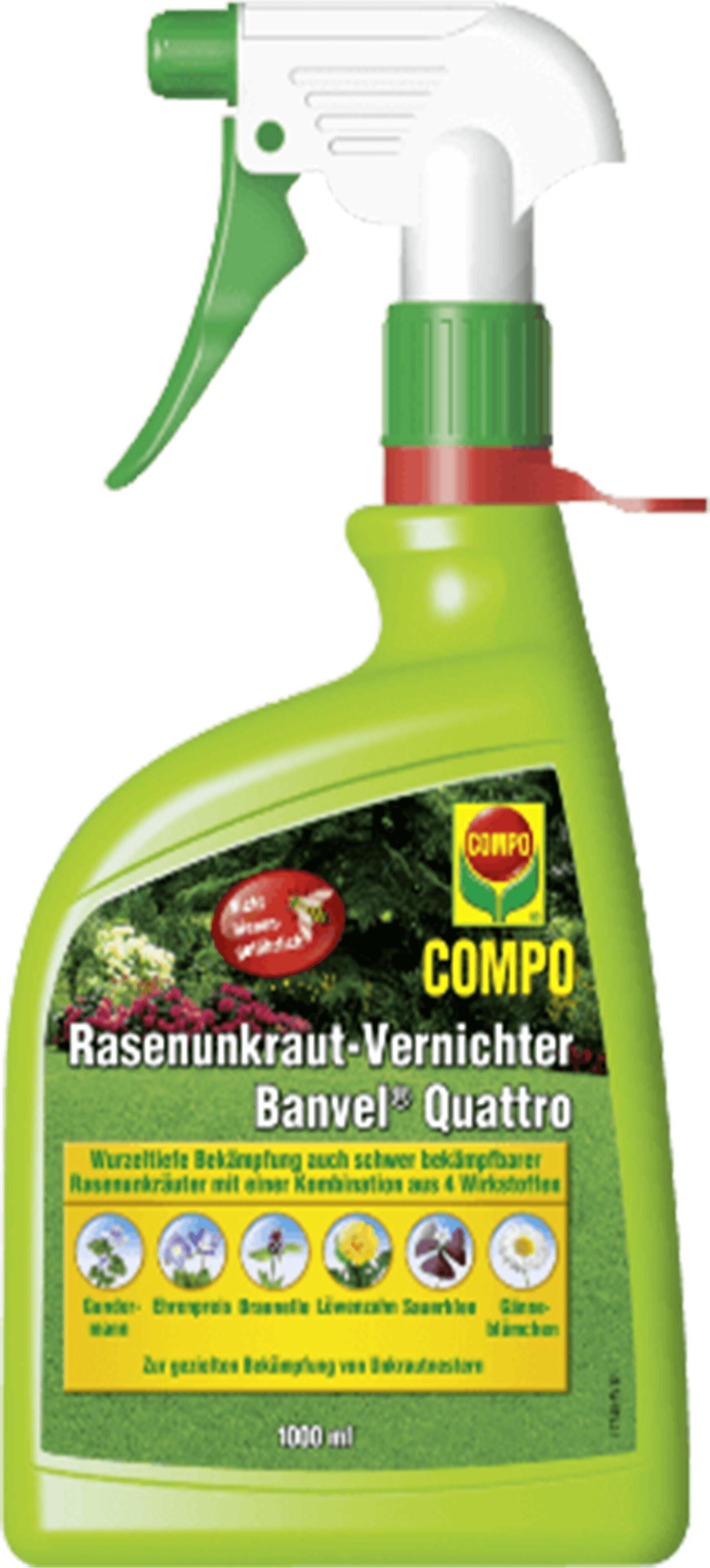 roteiche saatgut Roteichen-Samen – LaCaTho GmbH main image 0