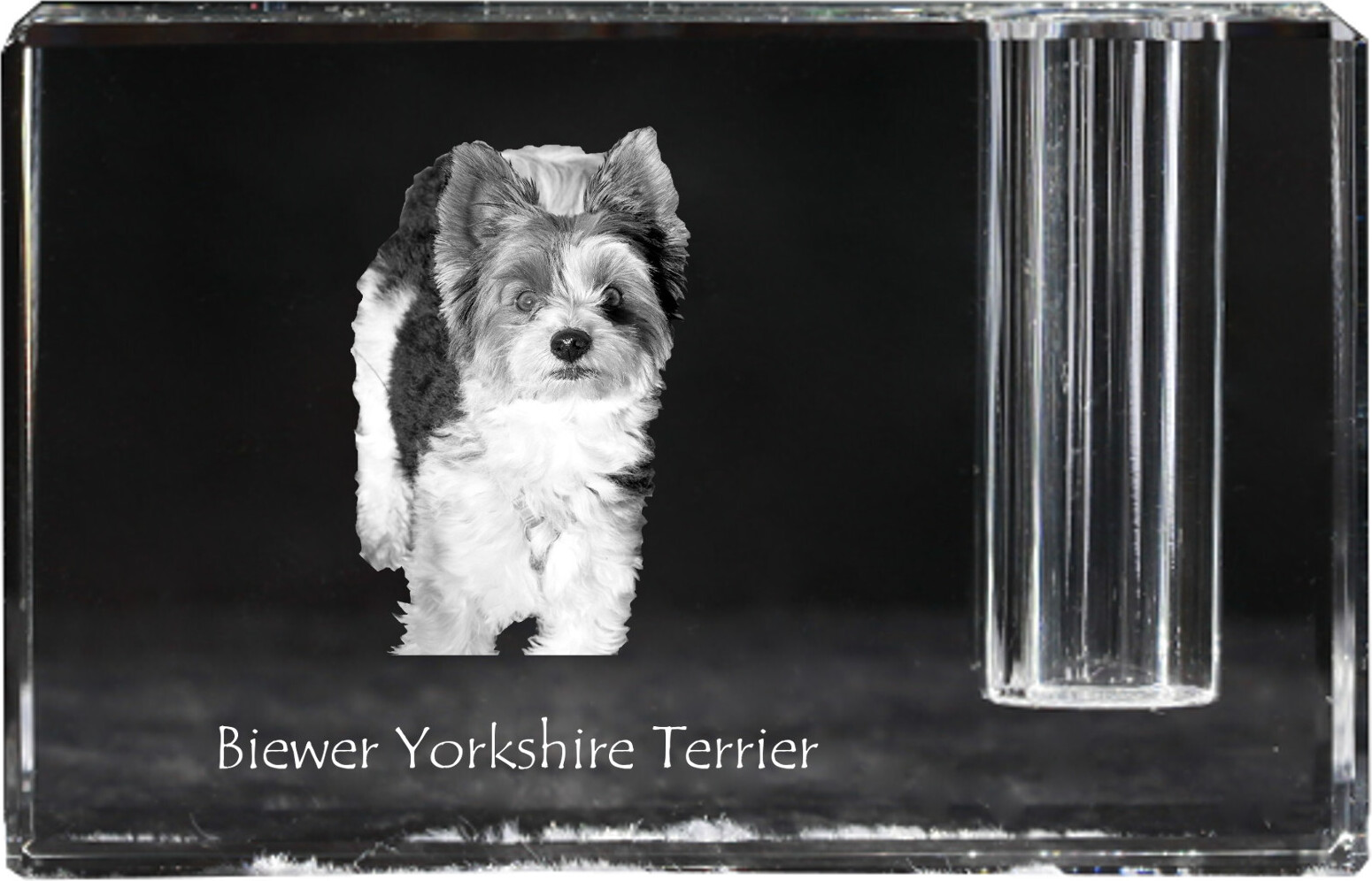 Biewer Terrier, Biewer Yorkshire Terrier - Stifthalter, Kristallorganizer mit Hundefoto, einzigartige Schreibtischdekoration der Marke Art-Dog