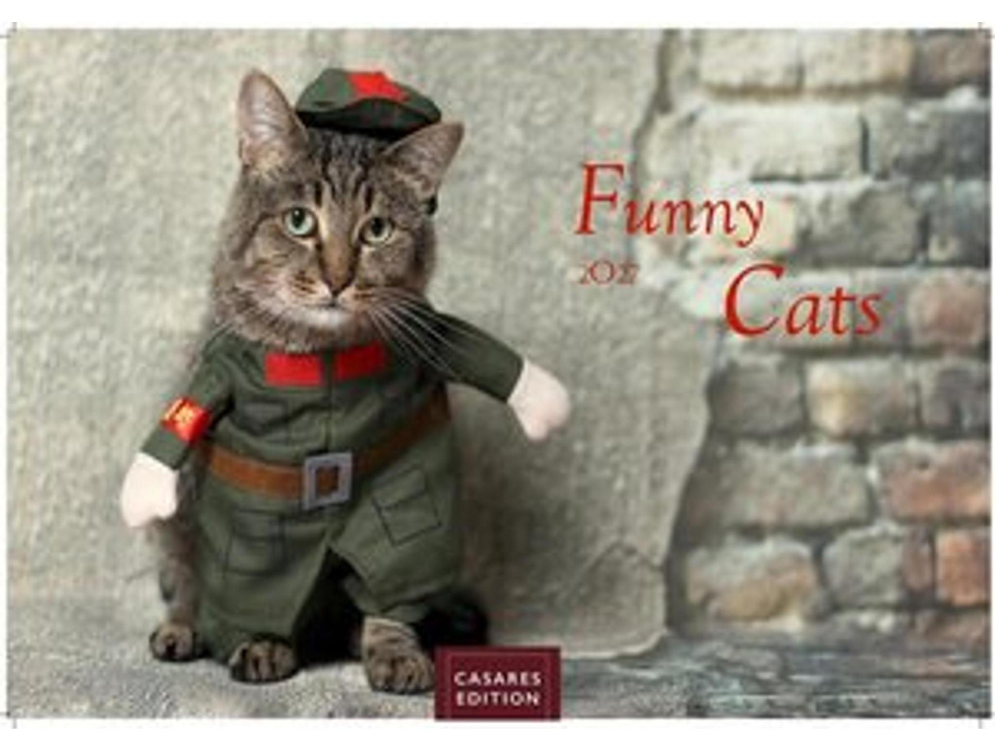 Sonstige Verlage Funny Cats Kalender 2027 - Wandkalender | Fotokalender Tierkalender 24x35cm - Witziger Katzenkalender 33079374_9781835247785