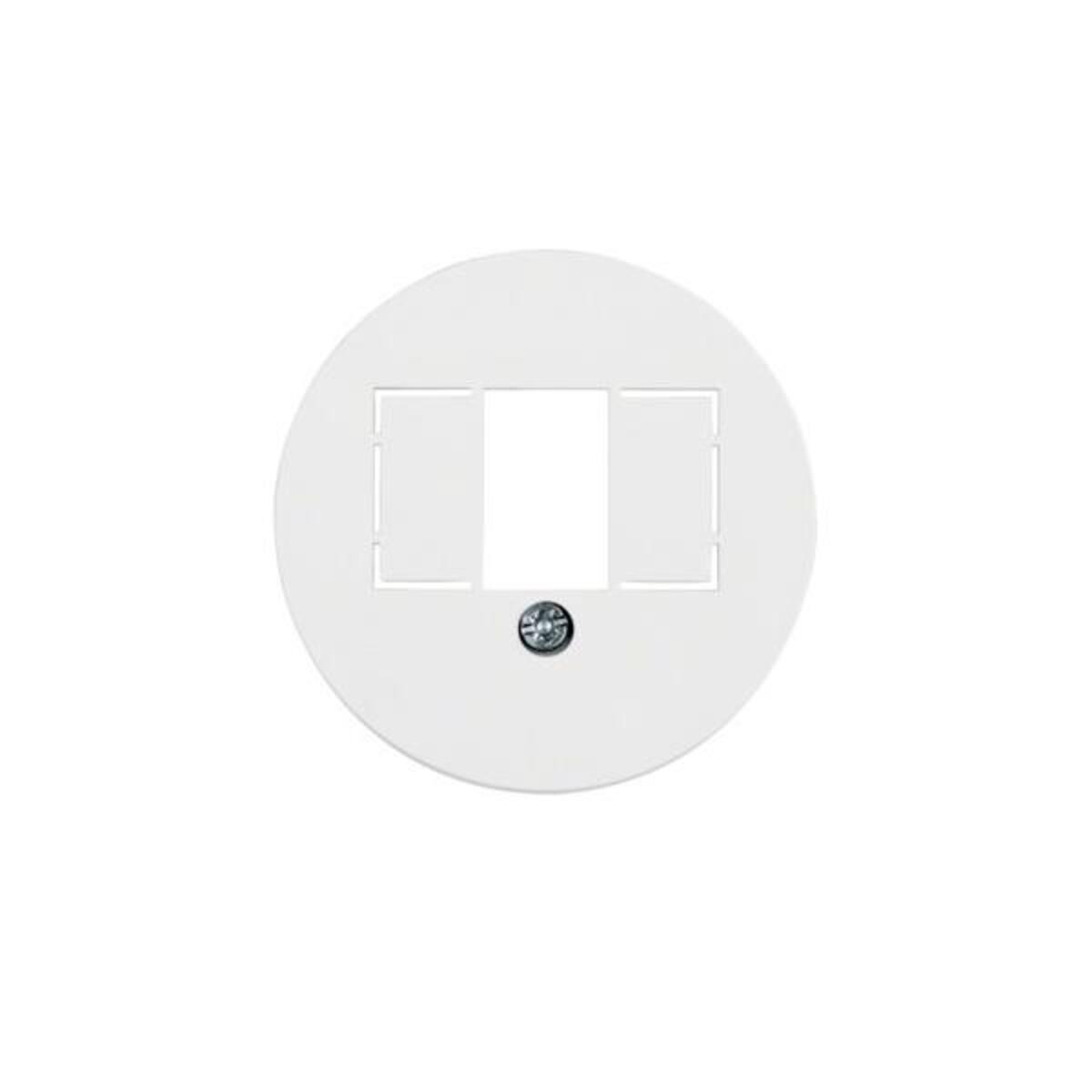 Berker Zentralstck pws/gl fr TAE-Steckdose 1040