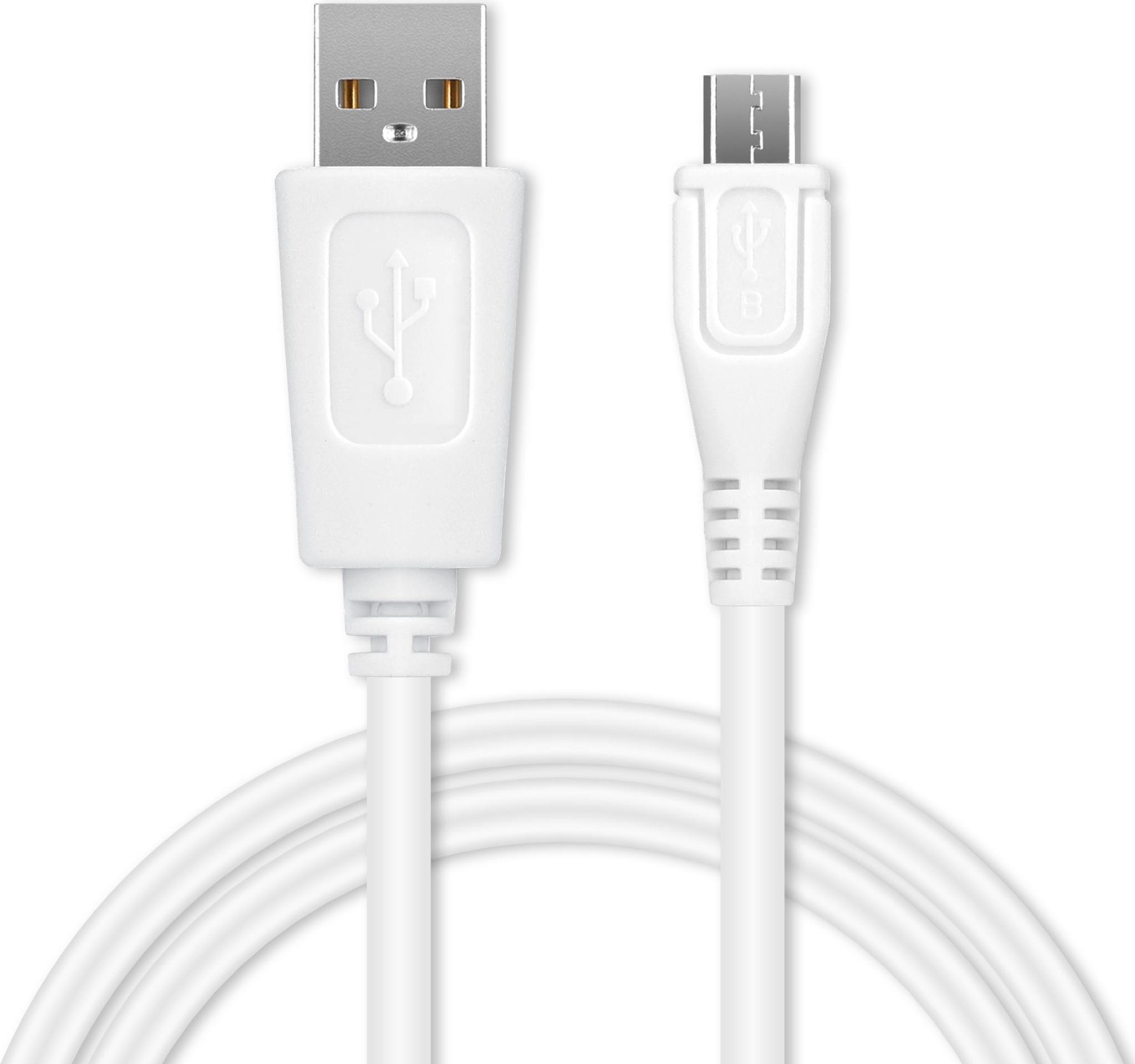 Cavo di ricarica USB Cavo dock per Fb Charge 2 Smart