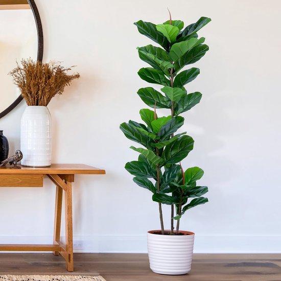 OEM Kunstficus in Pott, 152 cm, Kunstmatige Ficus, Kunstplanten in Pott für Innen und Außen 2026