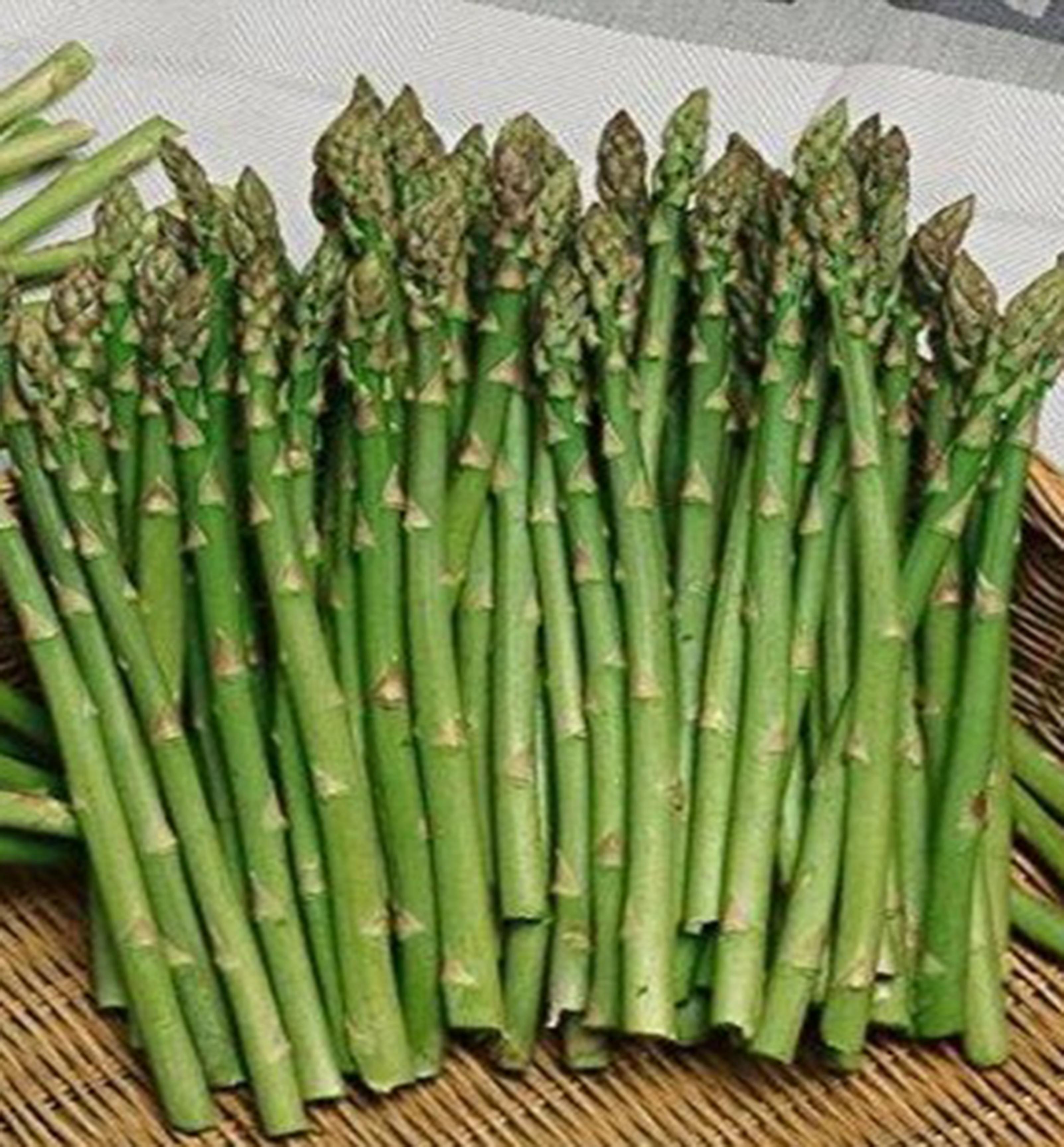 Arboeko, s.r.o. Spargelsamen für weißen Gemüsespargel, 0,5 Liter – für den Anbau im Garten